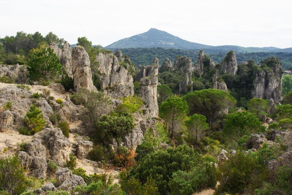 Cote Cour: Charming 3-star In Beziers