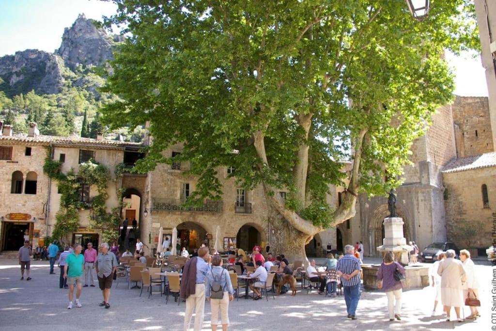 Apartment Cote Cour: Charming 3-star In
